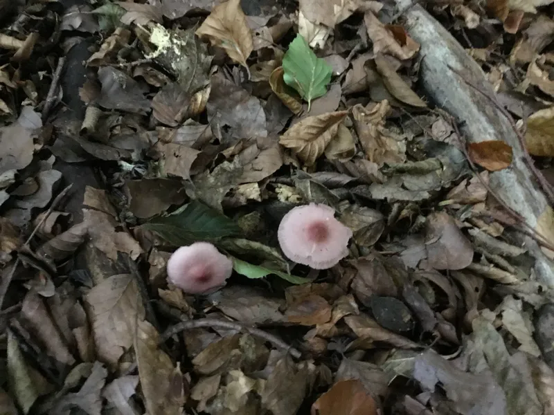 Gallery - created at 2022-10-03 16:37:54 - image 10