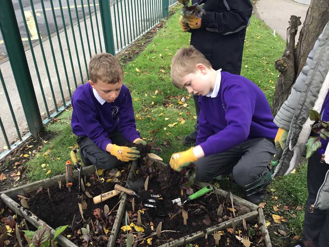 Gallery - created at 2023-09-07 16:46:06 - image 10 Gallery - created at 2023-09-07 16:46:06 - image 10