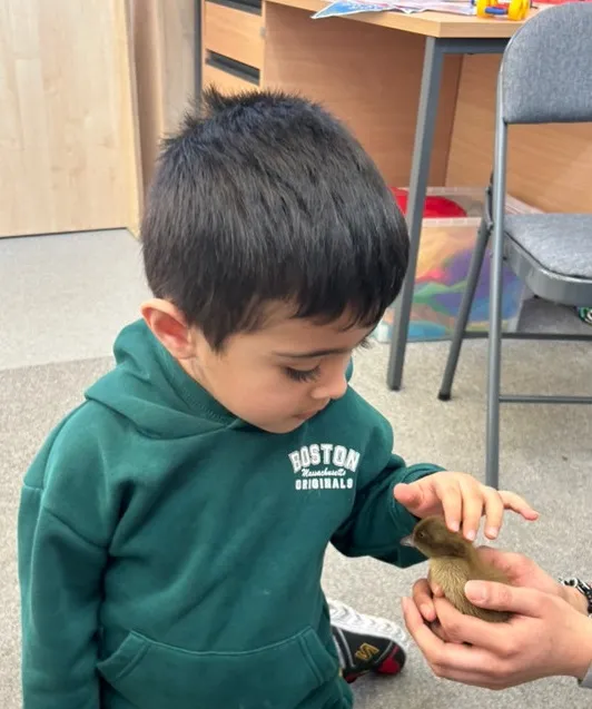 Life Cycles - image 14