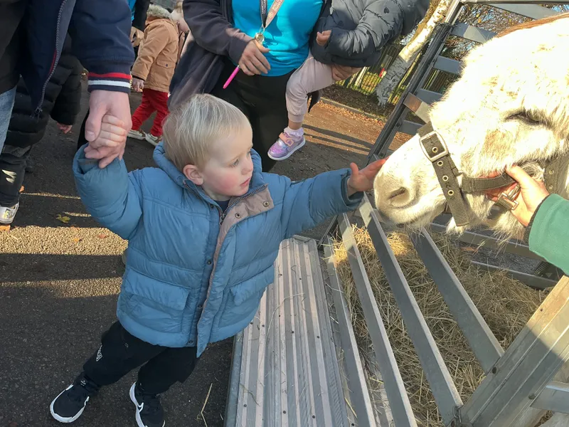 Stella ‘Farm on wheels’ part 2  - image 3