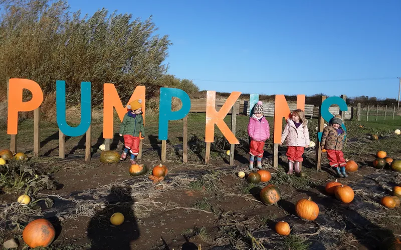 Gallery - created at 2024-10-25 14:50:36 - image 10 Gallery - created at 2024-10-25 14:50:36 - image 10