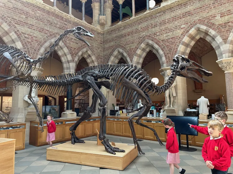 Gallery - created at 2025-05-15 20:19:39 - image 26