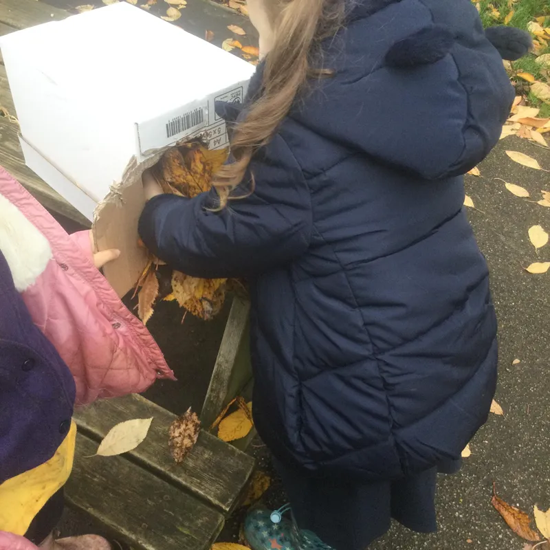 Making a hedgehog house - image 2 Making a hedgehog house - image 2