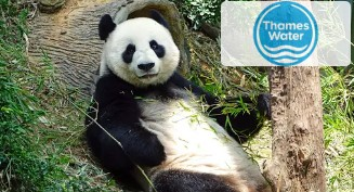 Living Things and their Habitats (plus Conservation)