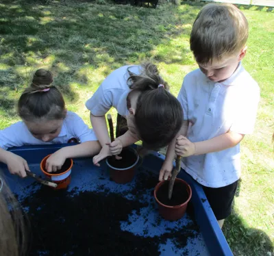 Planting - image 50