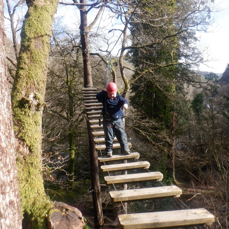 Gallery - created at 2025-02-27 19:57:56 - image 22