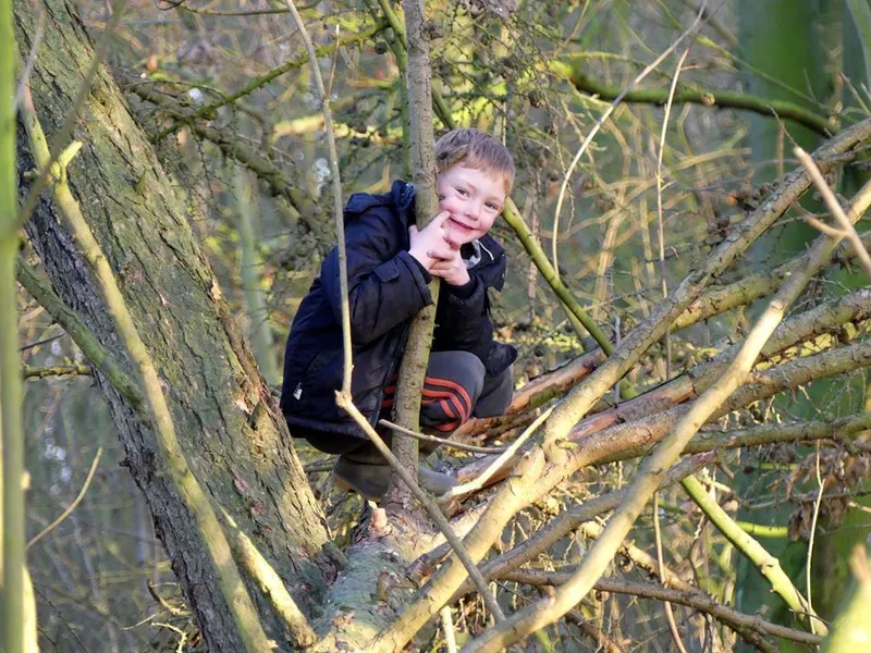 Gallery - created at 2020-05-07 11:04:06 - image 9 Gallery - created at 2020-05-07 11:04:06 - image 9