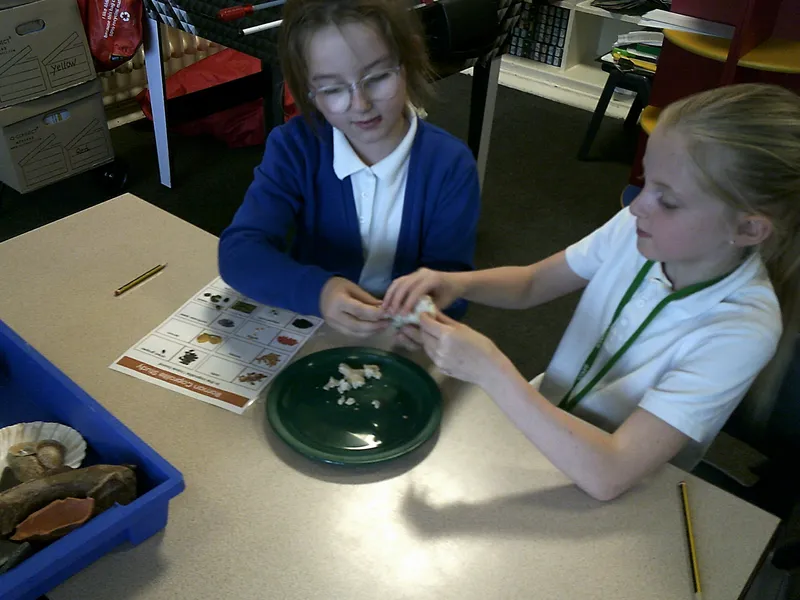Y4 Roman Archaeology Workshop - image 19