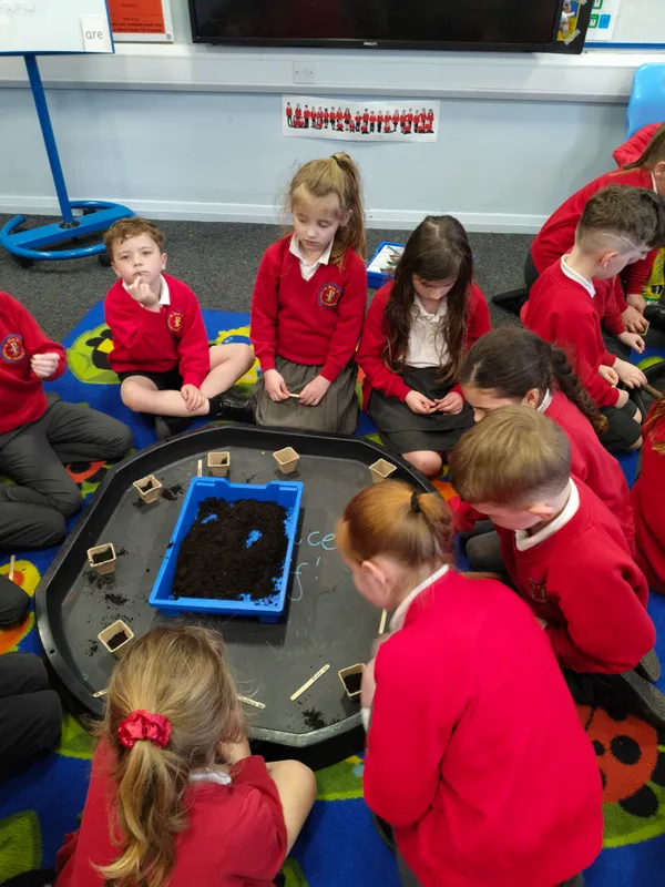 Gallery - created at 2025-05-18 08:27:35 - image 10