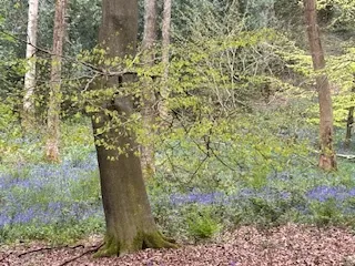 Gallery - created at 2024-04-26 15:50:17 - image 9