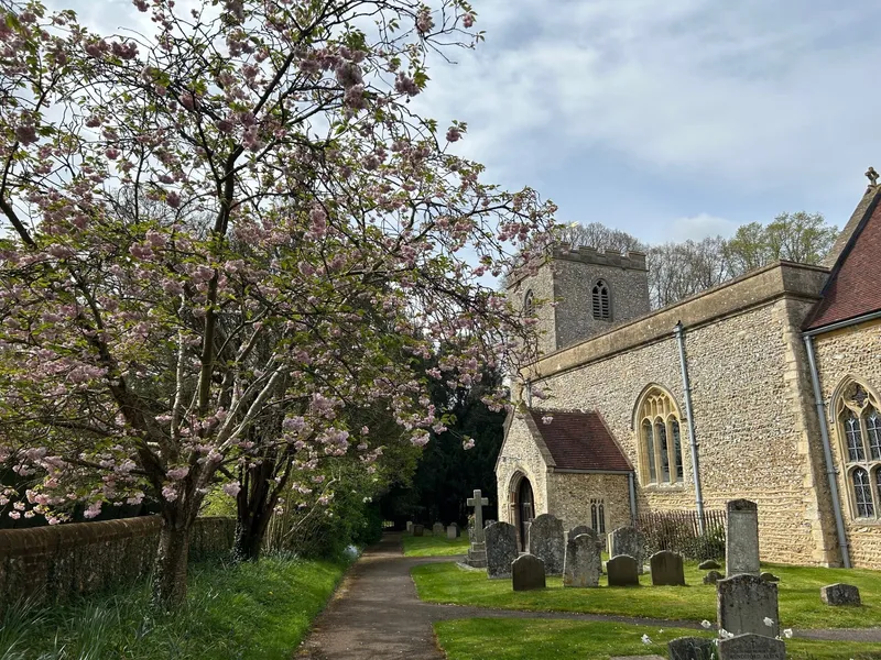 Gallery - created at 2024-04-19 14:47:35 - image 7