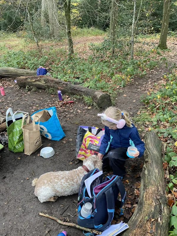 Gallery - created at 2025-11-14 14:33:38 - image 14 Gallery - created at 2025-11-14 14:33:38 - image 14