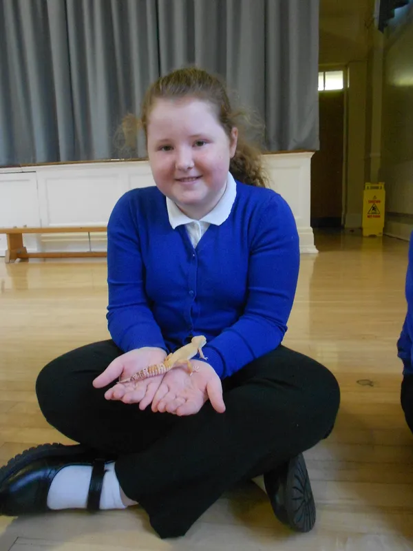 Y6 Reptile Rendezvous - image 44