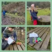 Forest School 17 - image 1 Forest School 17 - image 1