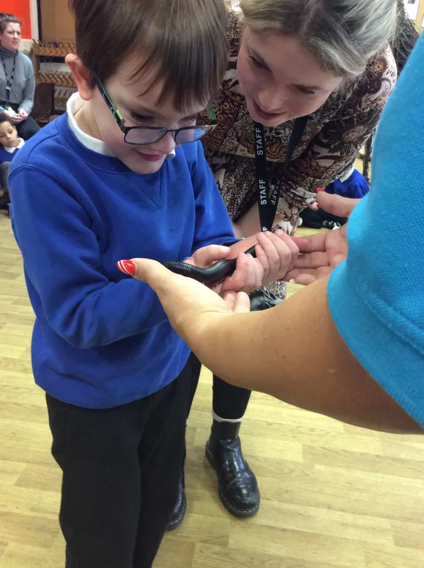 Gallery - created at 2024-03-05 13:52:56 - image 35 Gallery - created at 2024-03-05 13:52:56 - image 35