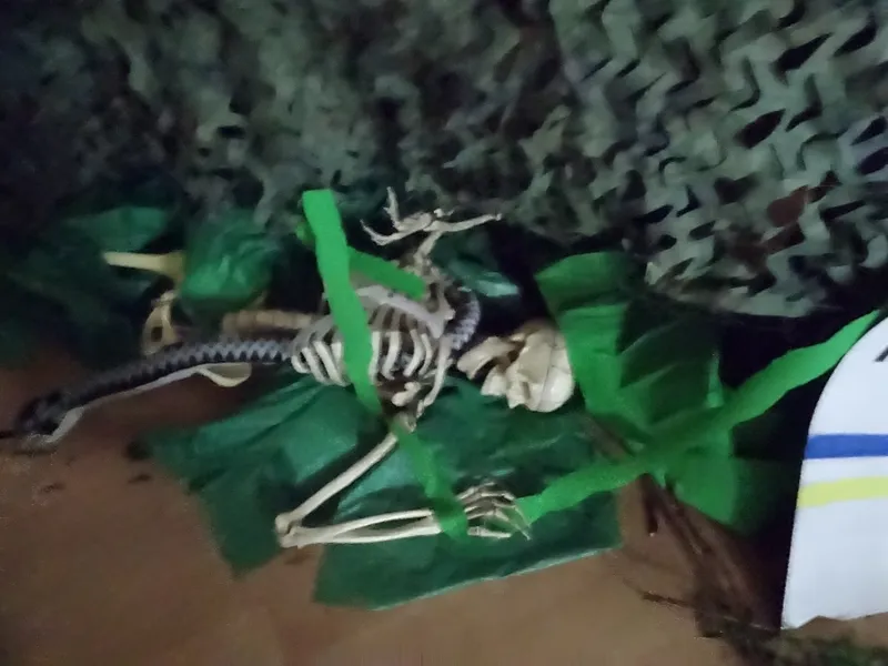 Gallery - created at 2019-01-14 14:10:40 - image 14 Gallery - created at 2019-01-14 14:10:40 - image 14