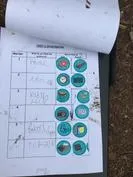 Forest School 133 - image 1 Forest School 133 - image 1