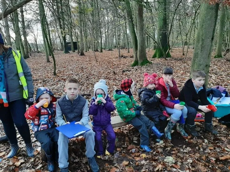 Gallery 7 - image 35