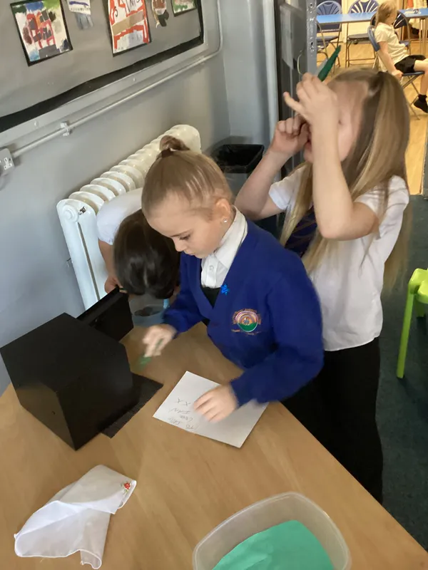 KW forensic - image 4 KW forensic - image 4