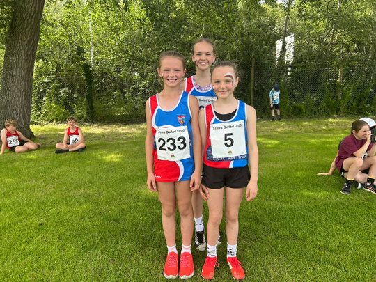 Llwyddiant Llan Success