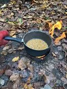 Forest School 88 - image 2 Forest School 88 - image 2