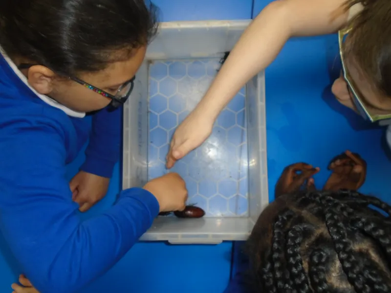 Y3 Yorkshire Wildlife Park Trip - image 26