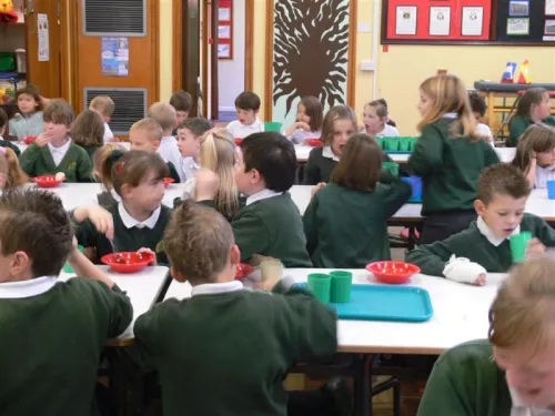 Gallery - image 3 Gallery - image 3