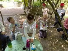 Forest School 95 - image 3 Forest School 95 - image 3
