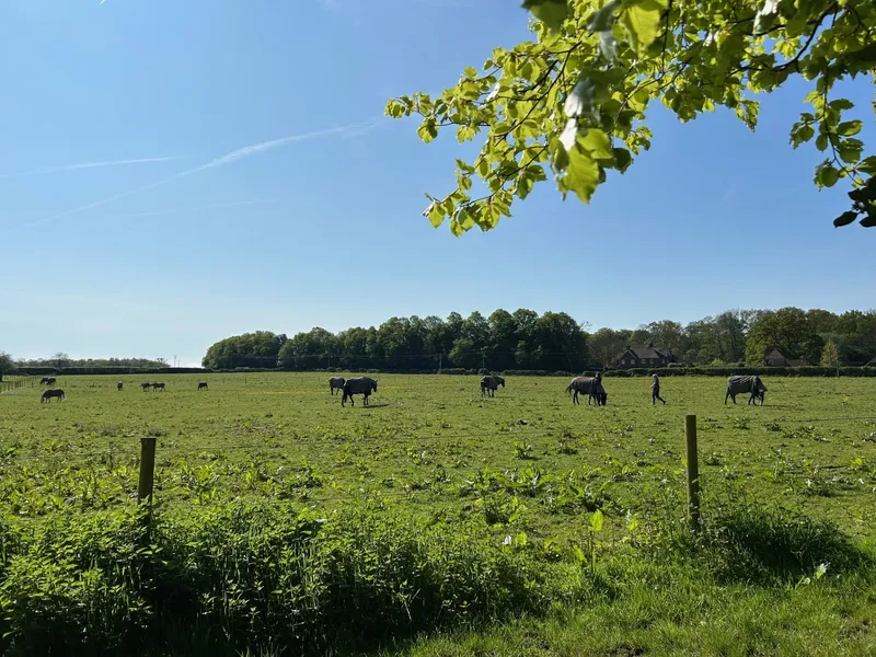 Gallery - created at 2024-05-10 11:40:23 - image 5