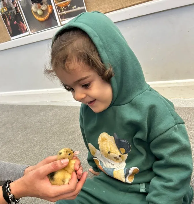 Life Cycles - image 18