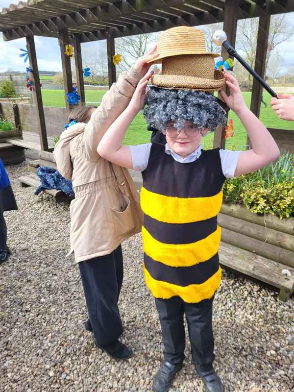 OPAL - image 10 OPAL - image 10