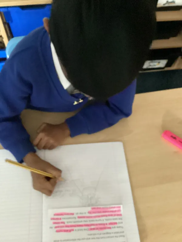 Gallery - created at 2025-10-27 10:30:39 - image 4 Gallery - created at 2025-10-27 10:30:39 - image 4