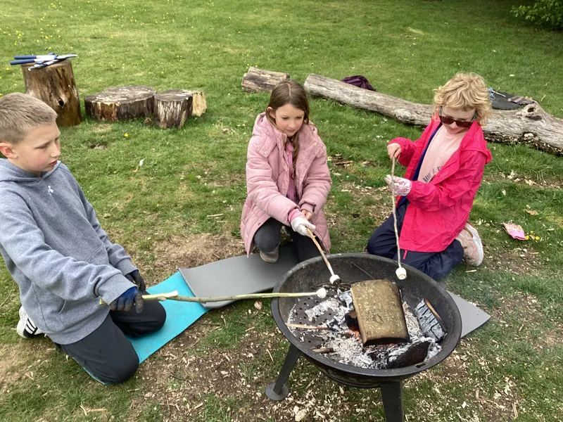 Forest Schools Class 4 - image 8