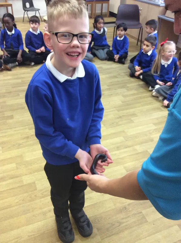 Gallery - created at 2024-03-05 13:52:56 - image 39 Gallery - created at 2024-03-05 13:52:56 - image 39