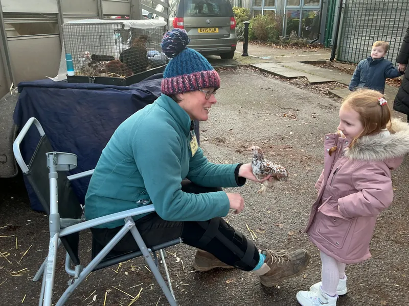 Stella farm on wheels Part 1 - image 7