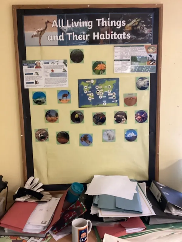 Gallery - created at 2020-04-23 11:54:25 - image 1