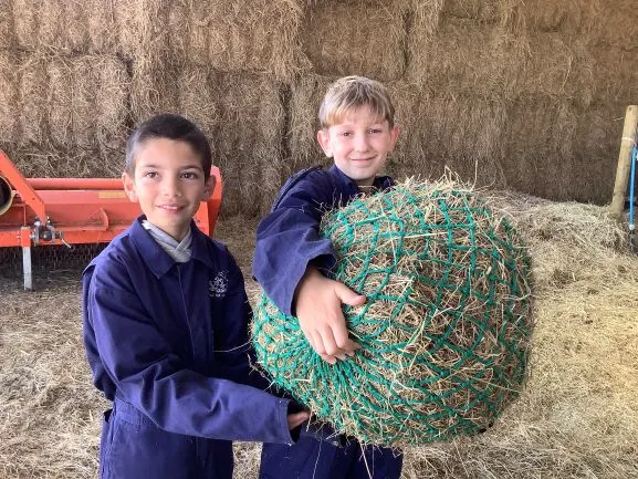 Farm 2025 - Gallery 3 - image 18