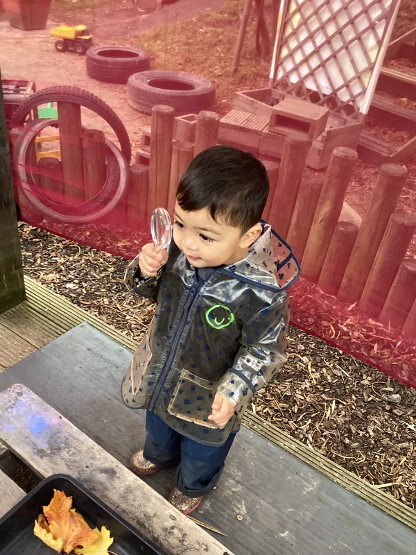 Gallery - created at 2024-10-31 07:35:31 - image 52 Gallery - created at 2024-10-31 07:35:31 - image 52