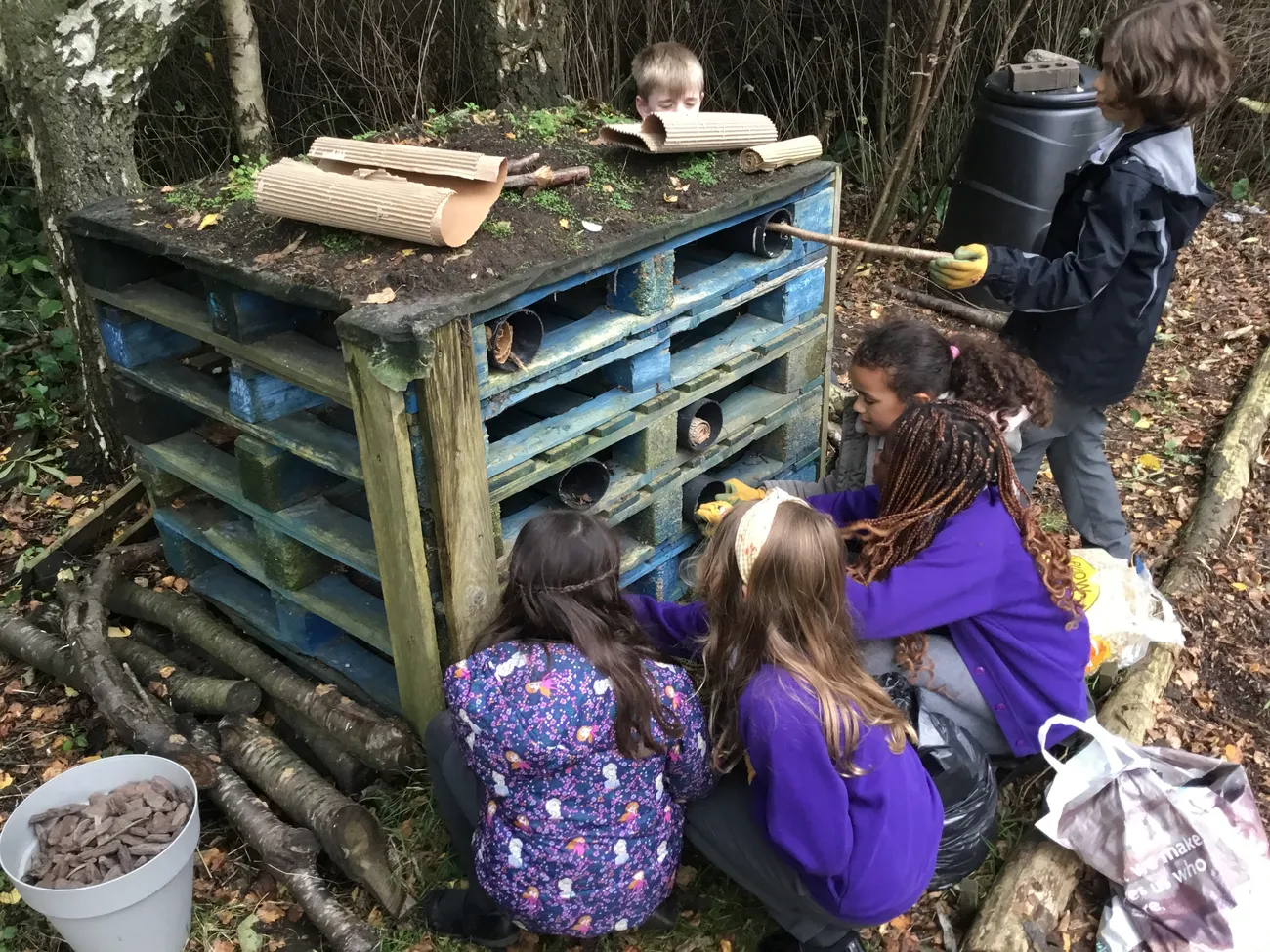 Gallery - created at 2023-09-07 16:46:06 - image 6 Gallery - created at 2023-09-07 16:46:06 - image 6