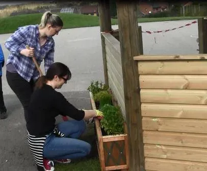 Gallery - created at 2018-01-17 17:01:31 - image 1