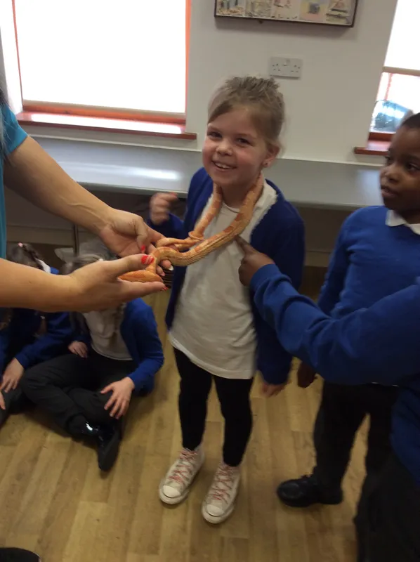 Gallery - created at 2024-02-26 17:15:57 - image 84 Gallery - created at 2024-02-26 17:15:57 - image 84