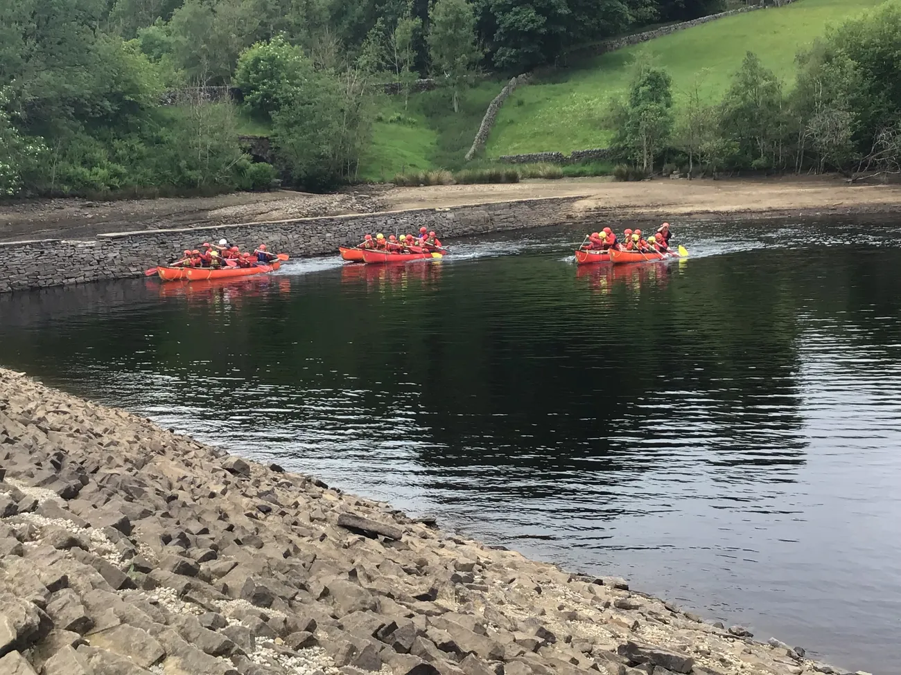 Gallery - created at 2022-06-10 10:14:21 - image 23 Gallery - created at 2022-06-10 10:14:21 - image 23