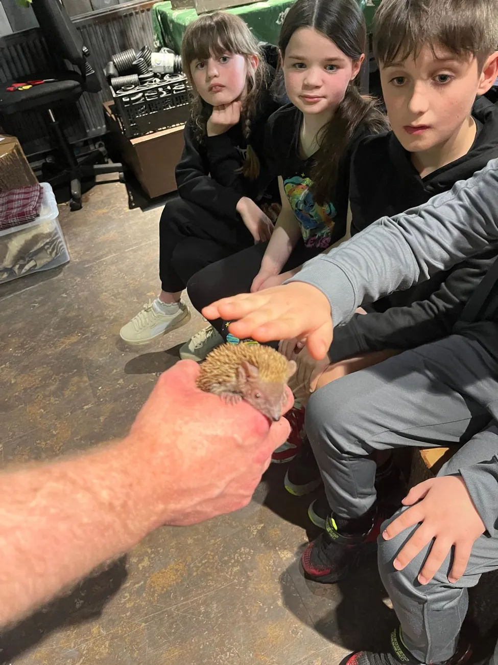 Gallery - created at 2024-06-06 15:03:55 - image 34