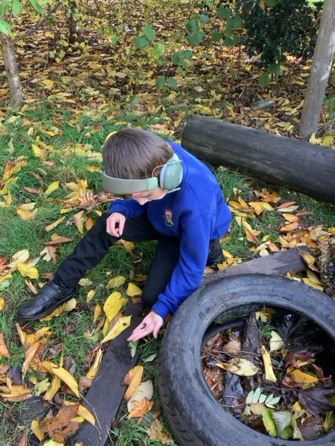 Enrichment - image 1 Enrichment - image 1