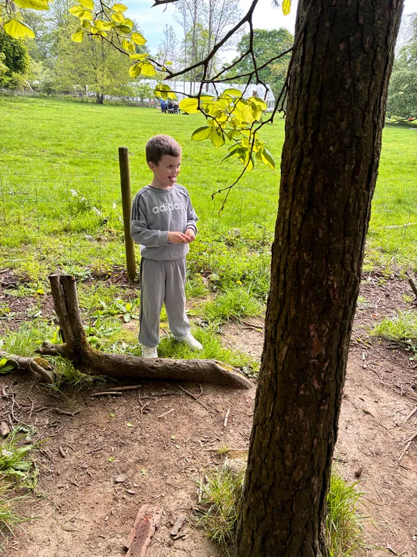 Year 3 Losehill Residential 2026 - image 31