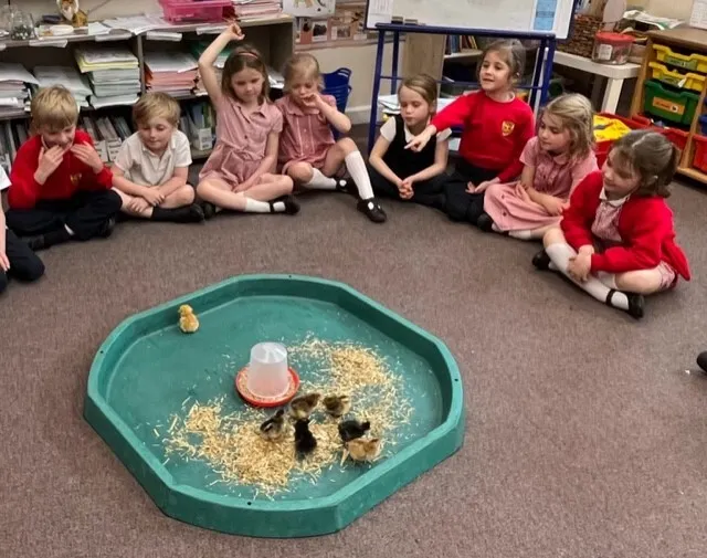 Gallery - created at 2023-05-05 11:29:48 - image 8