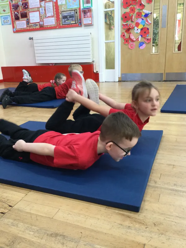 Y1 PE - image 4 Y1 PE - image 4