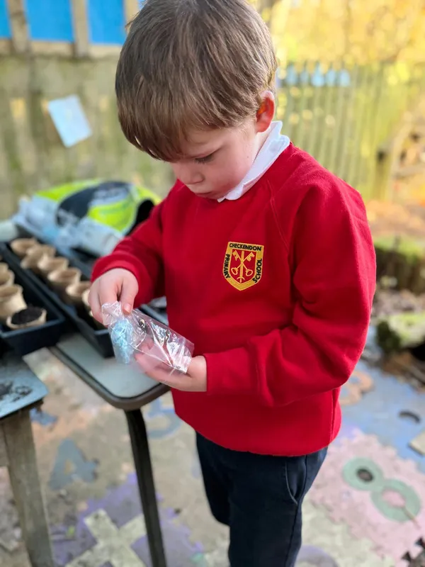 Gallery - created at 2025-03-23 10:29:25 - image 1