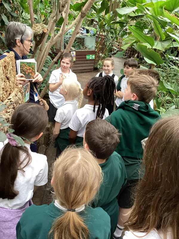 Gallery - created at 2025-03-14 10:11:21 - image 6 Gallery - created at 2025-03-14 10:11:21 - image 6