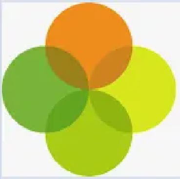 Online Payment